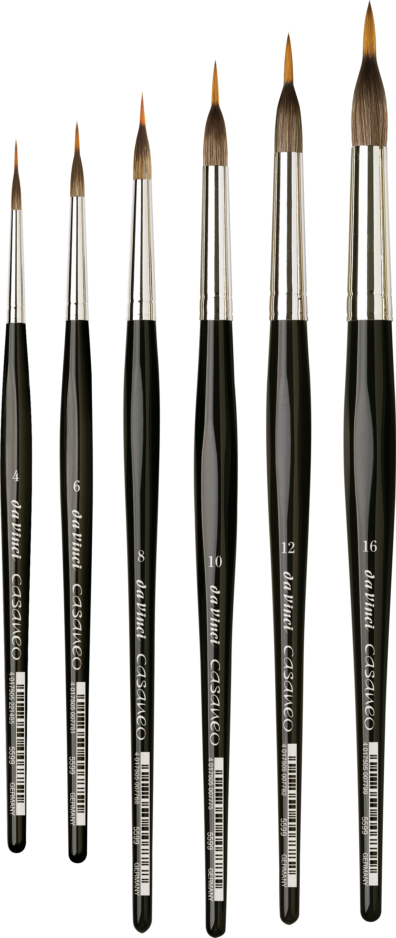 Da Vinci : CASANEO Serie 5599 Liner
