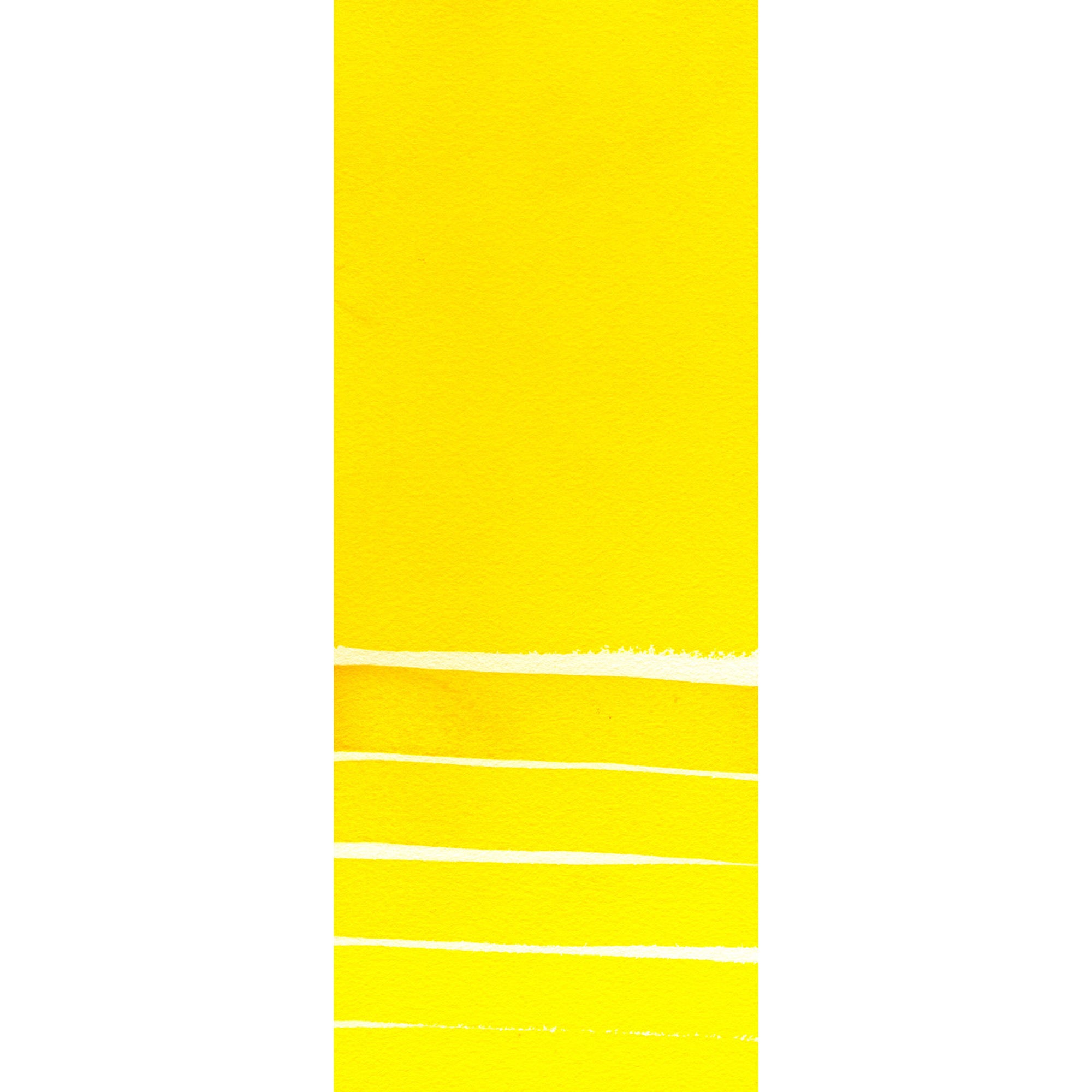 Daniel Smith : Watercolor - Cadmium Yellow Medium Hue