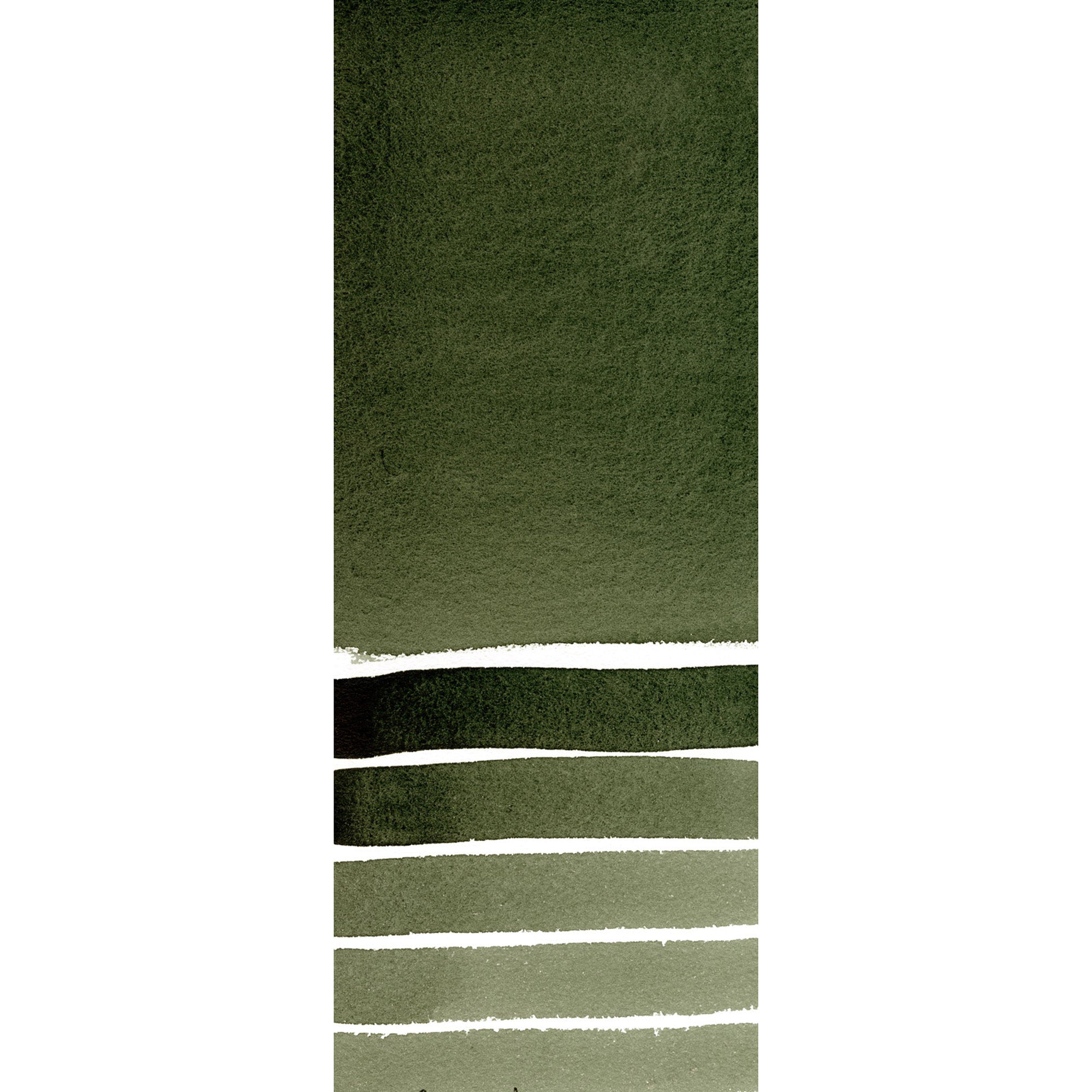 Daniel Smith : Watercolor - Perylene Green