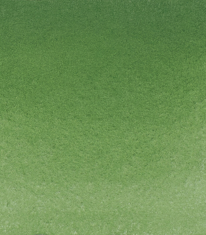 Schmincke : Horadam Aquarell - Chromium oxide green