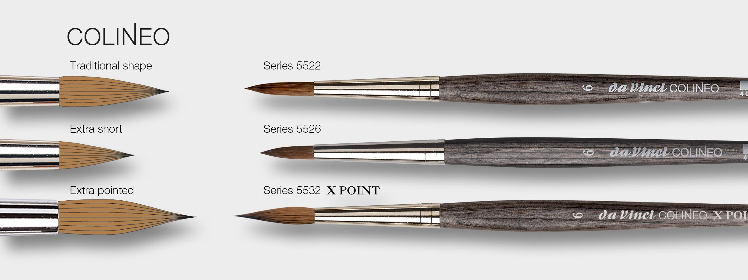 Da Vinci : COLINEO Serie 5532 X Point Round