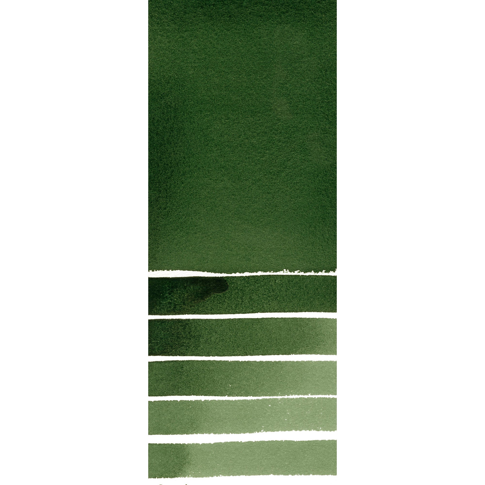 Daniel Smith : Watercolor - Deep Sap Green