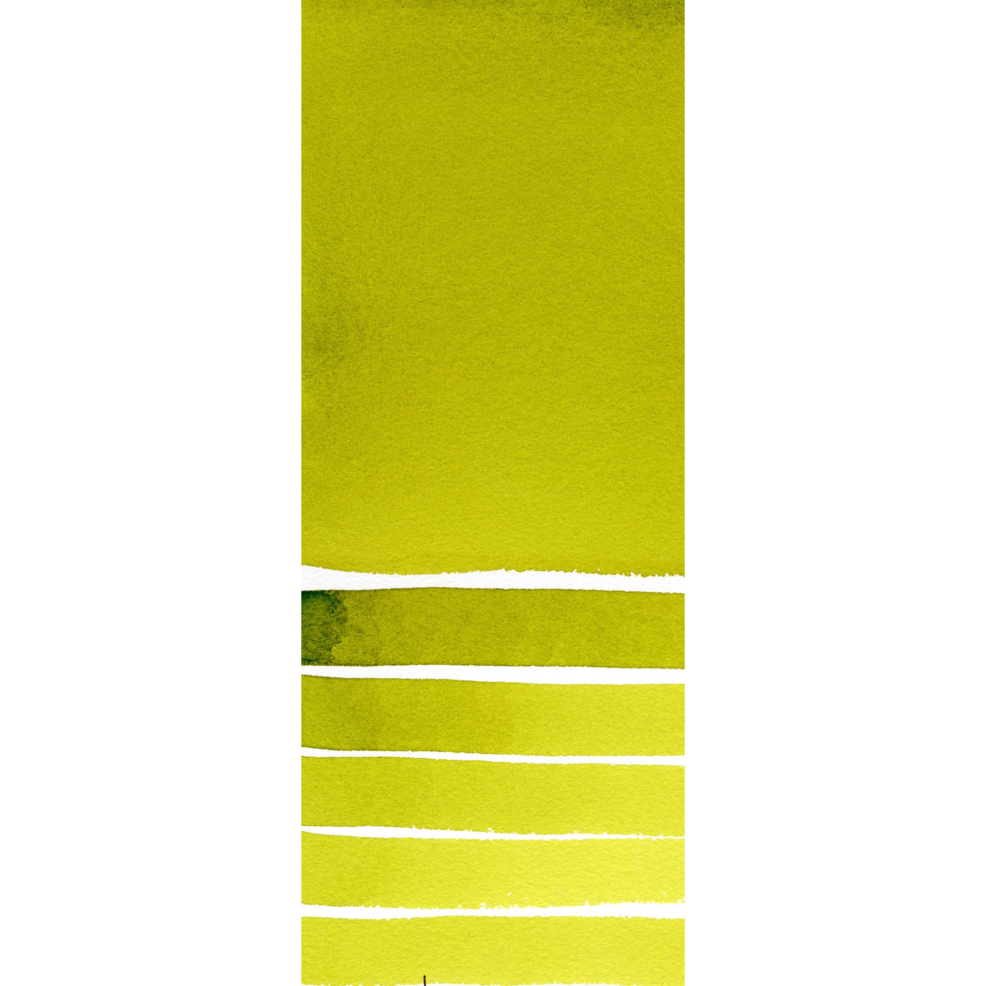 Daniel Smith : Watercolor - Green Gold