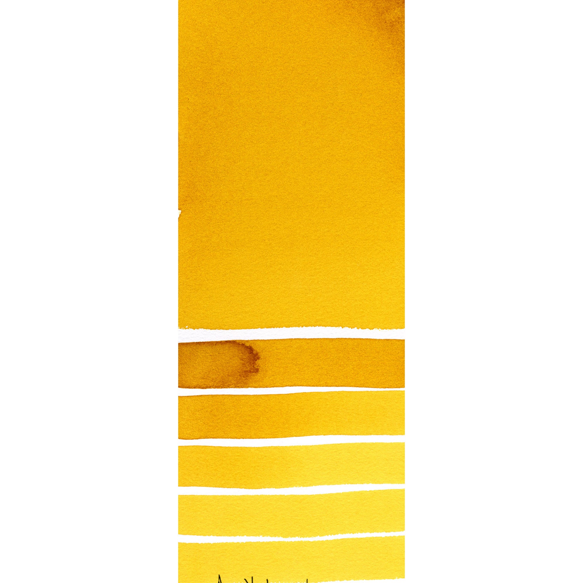 Daniel Smith : Watercolor - Nickel Azo Yellow