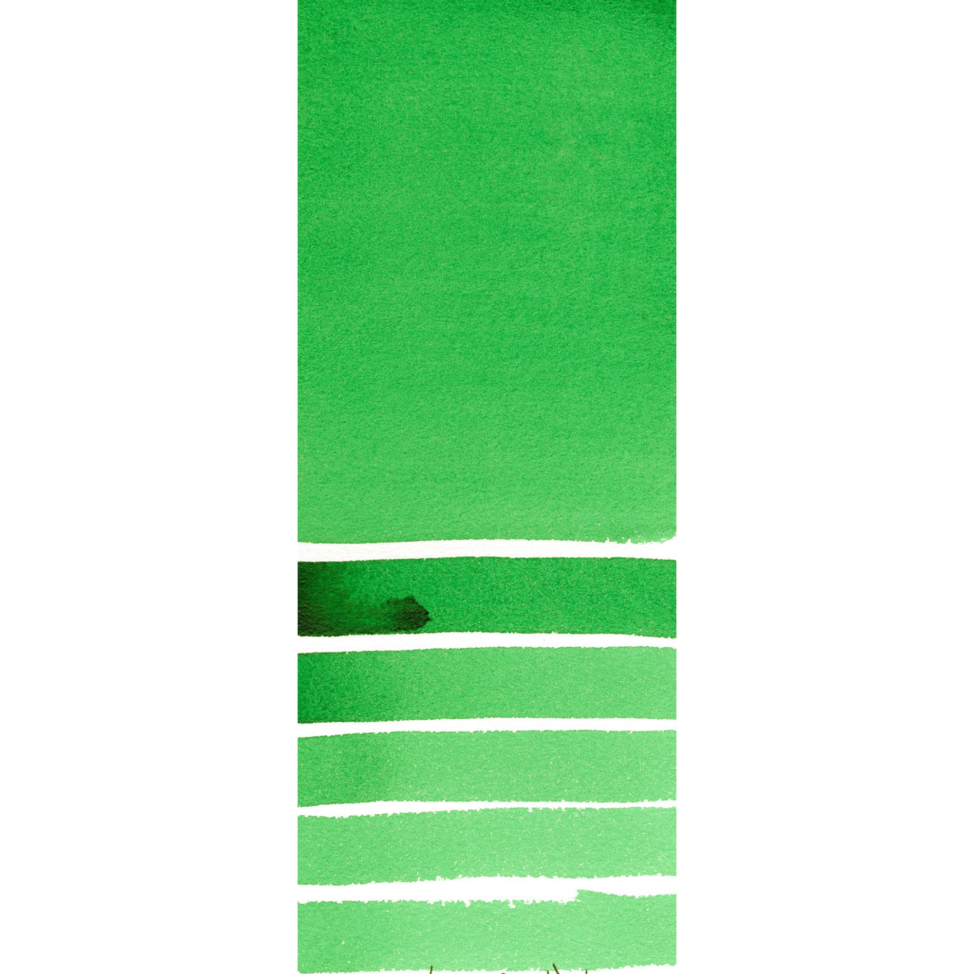 Daniel Smith : Watercolor - Phthalo Green (Yellow Shade)