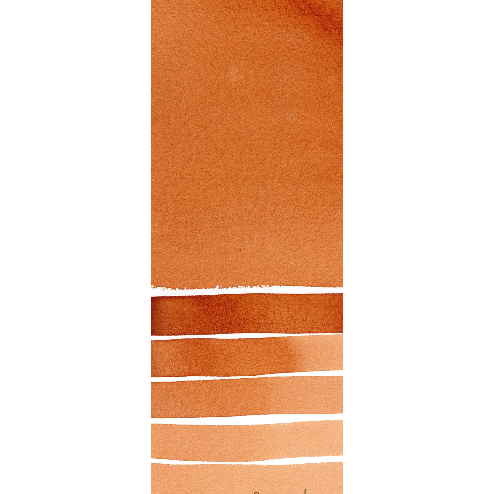 Daniel Smith : Watercolor - Quinacridone Burnt Orange