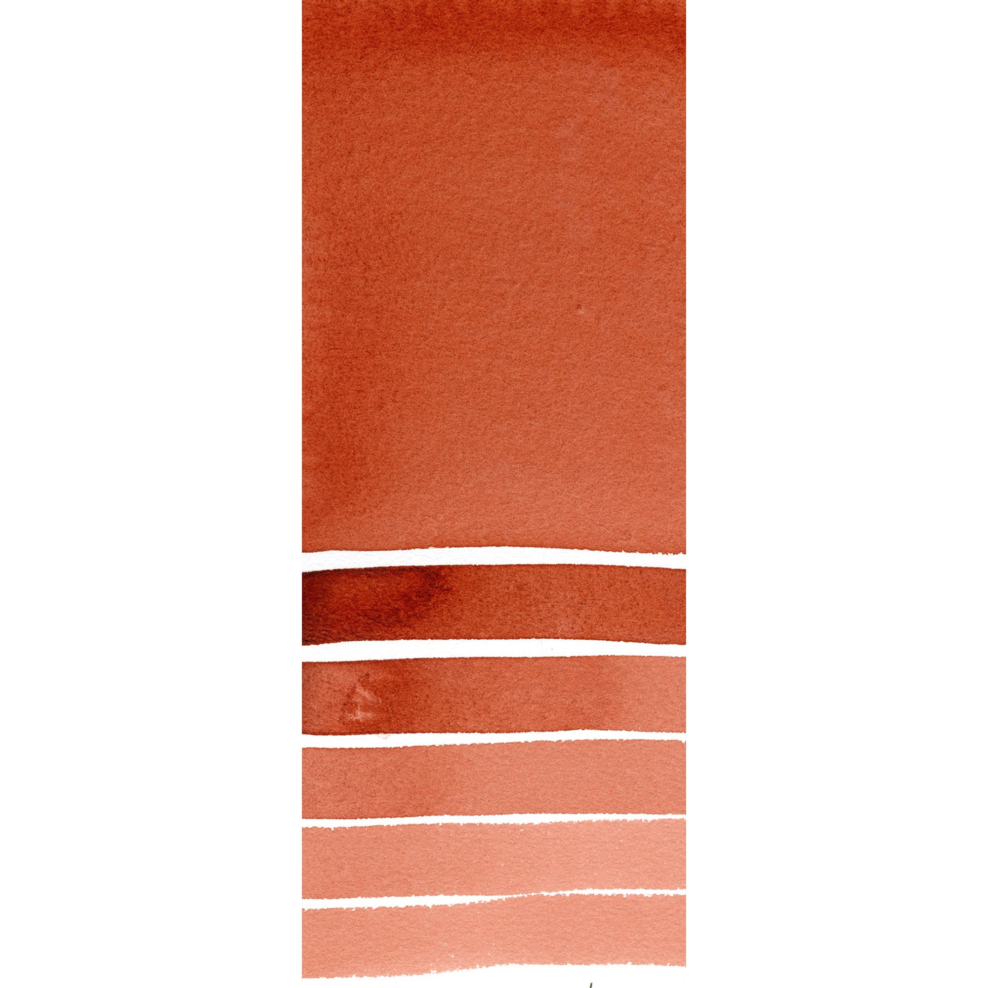 Daniel Smith : Watercolor - Quinacridone Burnt Scarlet